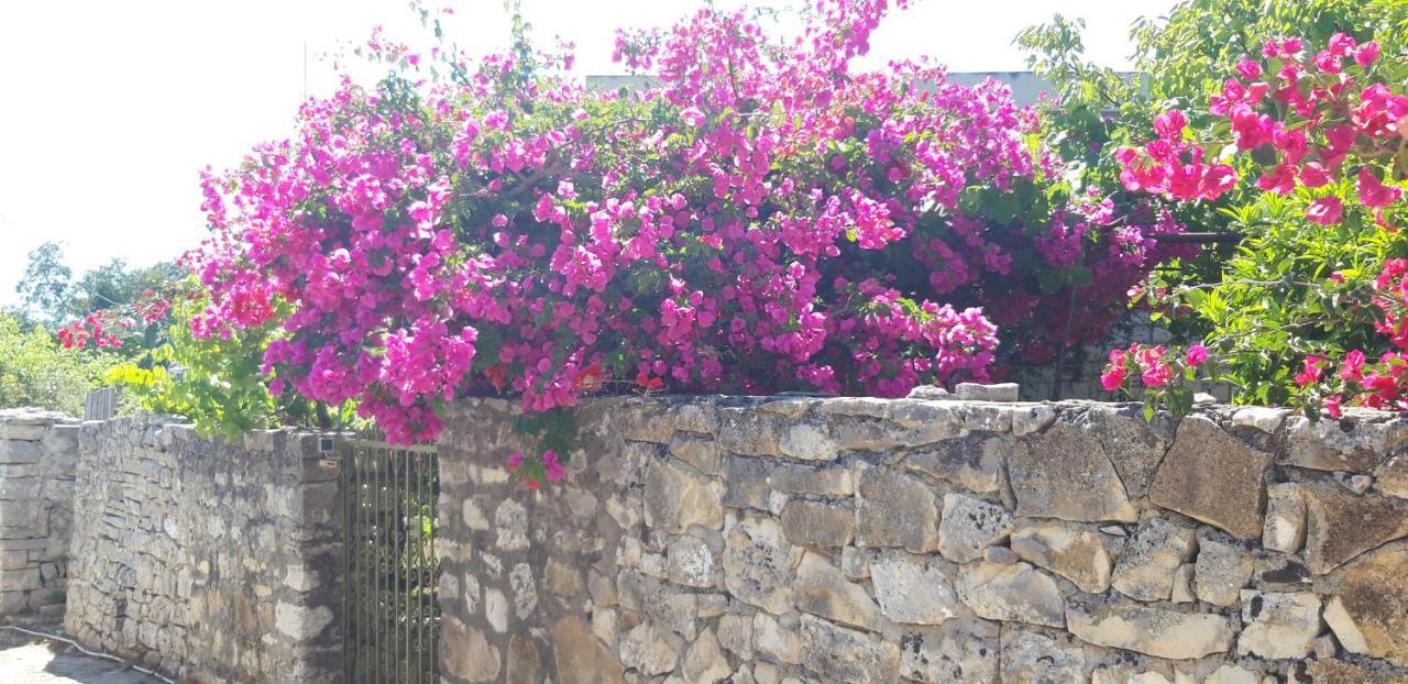 Villa Kiki Paxos Ozias Gáios Exterior foto