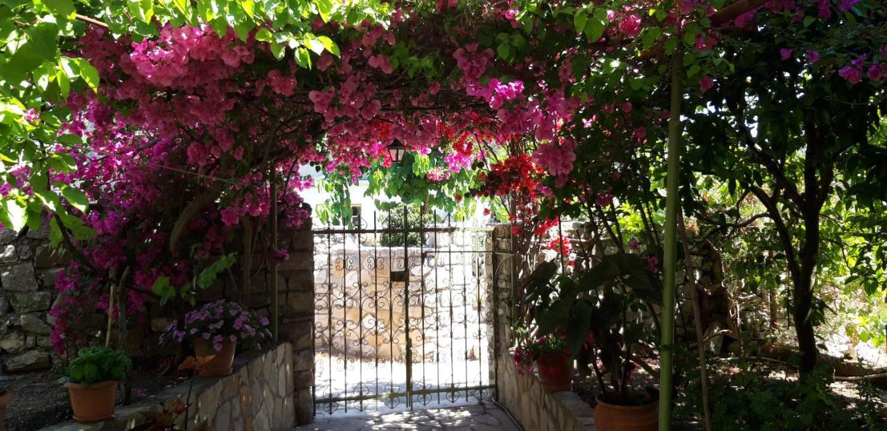 Villa Kiki Paxos Ozias Gáios Exterior foto